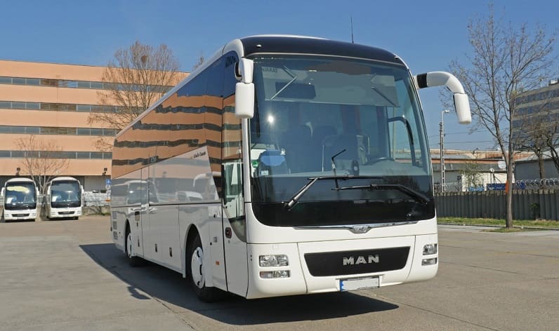 Rhineland-Palatinate: Buses operator in Treves [Trier] in Treves [Trier] and Germany